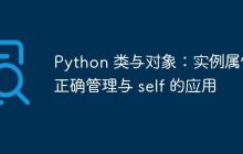 Python 类与对象:实例属性的正确管理与 self 的应用