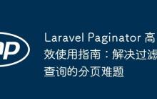 Laravel Paginator 高效使用指南:解决过滤查询的分页难题
