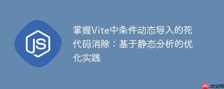 掌握Vite中条件动态导入的死代码消除：基于静态分析的优化实践