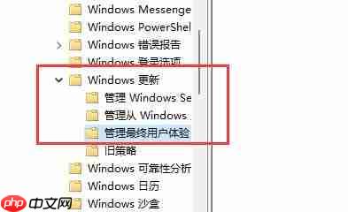 Win11不更新系统怎么设置 Win11不更新系统设置方法