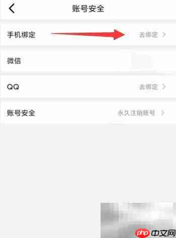 Earth元地球APP手机号绑定指南