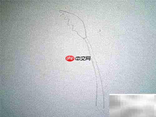 简笔画小草教程：轻松画出可爱小草