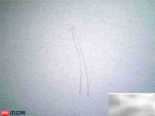 简笔画小草教程：轻松画出可爱小草