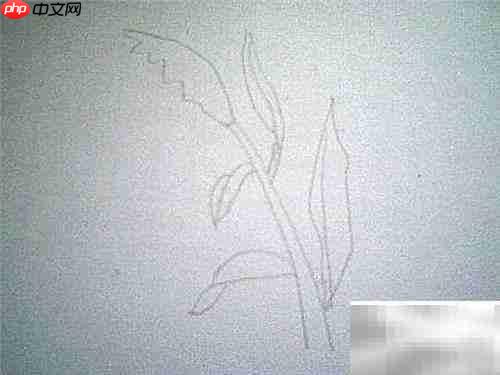 简笔画小草教程：轻松画出可爱小草