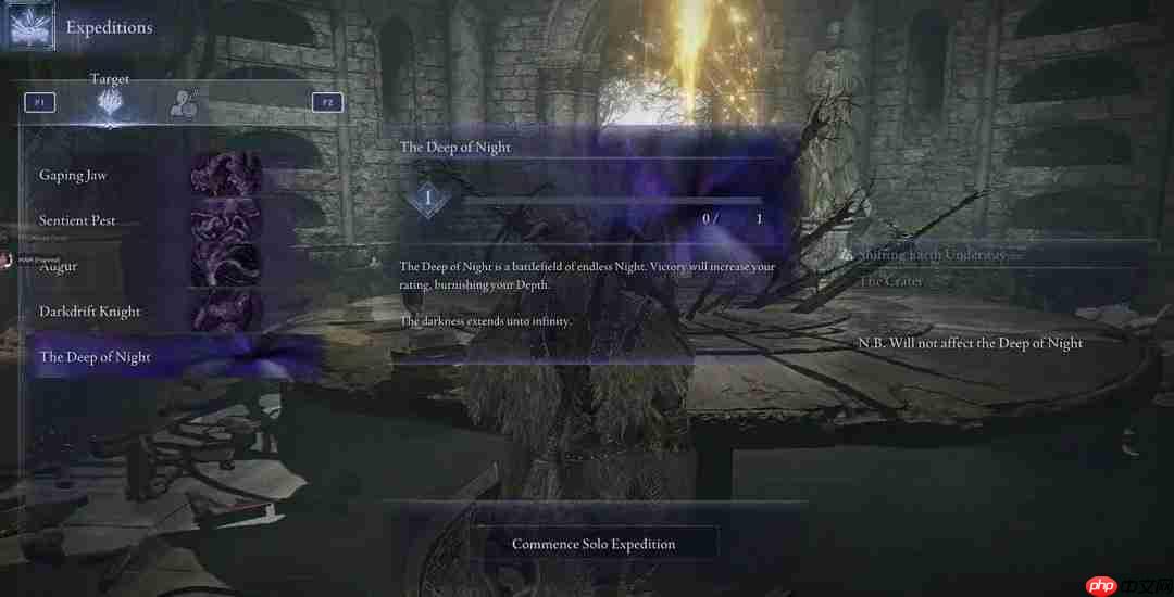 法环也能排位? 《黑夜君临》数据被扒或将推出“深夜”无尽模式