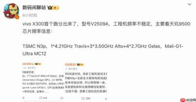 vivo X300 跑分来了,首发天玑 9500