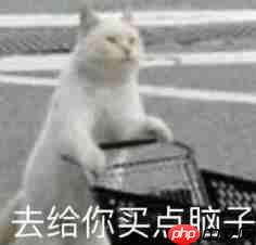 对话逐际动力张巍:造机器人很容易,关键是用起来