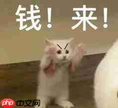 对话逐际动力张巍:造机器人很容易,关键是用起来