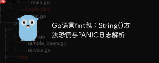 Go语言fmt包：String()方法恐慌与PANIC日志解析