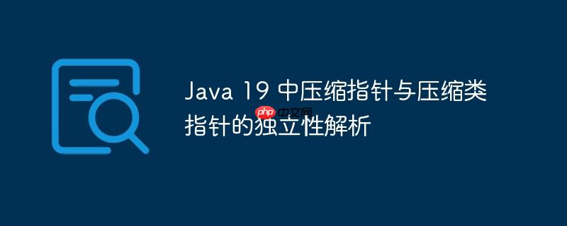 Java 19 中压缩指针与压缩类指针的独立性解析