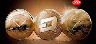 XMR币是否是好投资