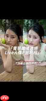 醒图照片怎么快速去灰