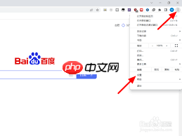 如何将谷歌浏览器换成百度搜索引擎