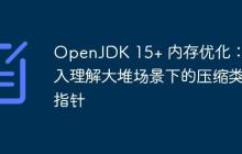 OpenJDK 15+ 內(nèi)存優(yōu)化：深入理解大堆場景下的壓縮類指針