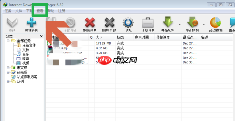 IDM下载器怎么自定义设置工具栏