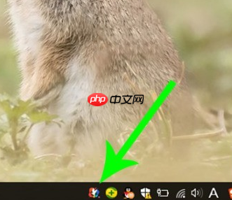 青鸟壁纸怎么设置开启锁屏功能