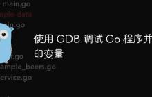 使用 GDB 调试 Go 程序并打印变量
