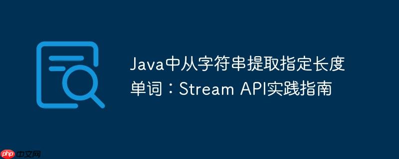 Java中从字符串提取指定长度单词：Stream API实践指南
