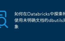 如何在Databricks中探索和使用未明确文档的dbutils对象