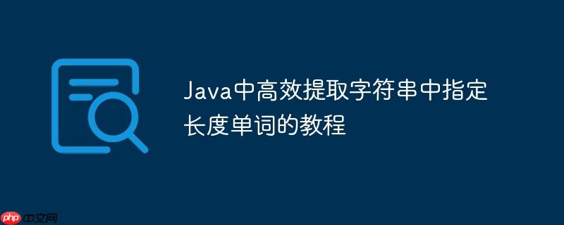 Java中高效提取字符串中指定长度单词的教程
