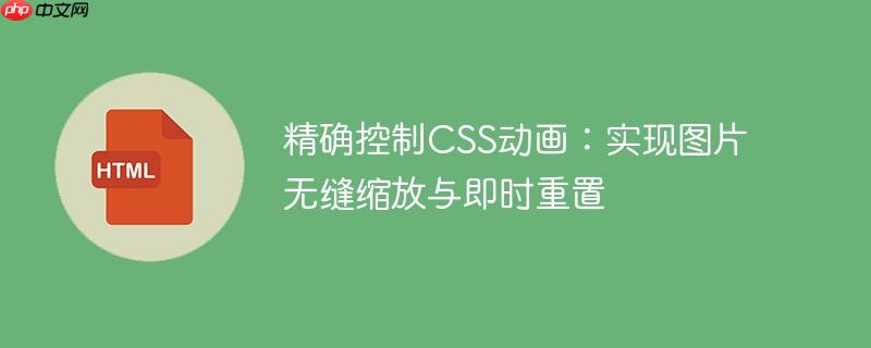 精确控制CSS动画:实现图片无缝缩放与即时重置