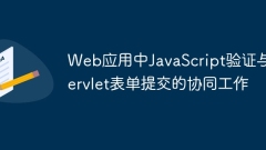 Working in collaboration between JavaScript verification and Servlet form submission in web applications