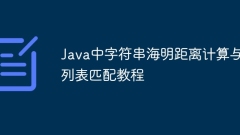 Tutorial on matching string Heming distance calculation and list in Java