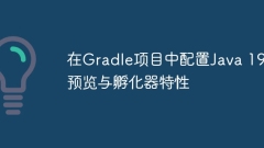 Configuring Java 19 preview and incubator features in Gradle project