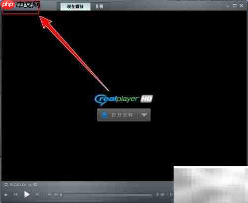 realplayer启用文件夹监控