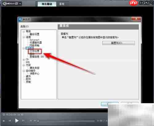 RealPlayer启用文件夹监控