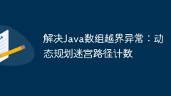 解決Java數(shù)組越界異常:動(dòng)態(tài)規(guī)劃迷宮路徑計(jì)數(shù)