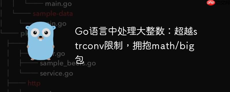 Go语言中处理大整数：超越strconv限制，拥抱math/big包
