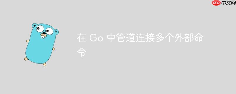 在 go 中管道连接多个外部命令