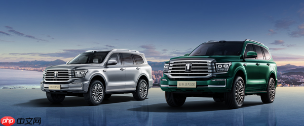 第35周硬派越野车型周销量TOP10公布:坦克500登顶