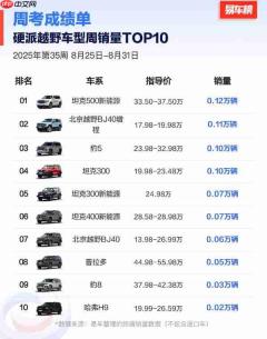 第35周硬派越野车型周销量TOP10公布:坦克500登顶