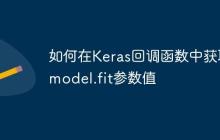 如何在Keras回调函数中获取model.fit参数值