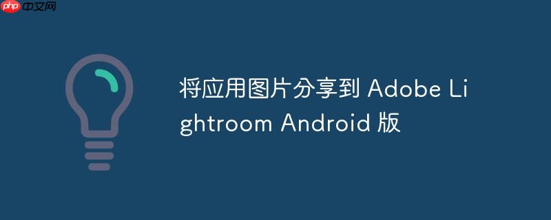 将应用图片分享到 Adobe Lightroom Android 版