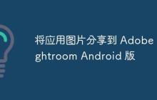 將應(yīng)用圖片分享到 Adobe Lightroom Android 版
