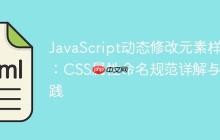 JavaScript动态修改元素样式:CSS属性命名规范详解与实践