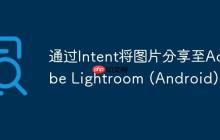 通過Intent將圖片分享至Adobe Lightroom (Android)