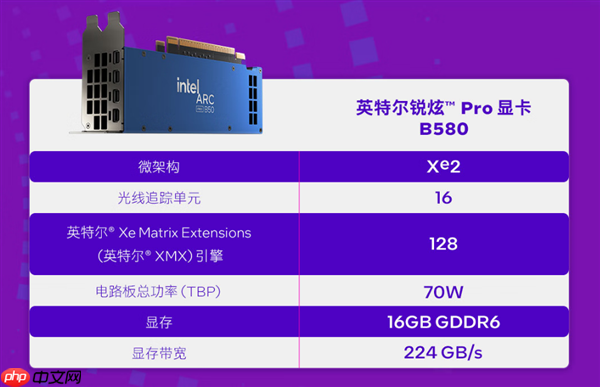 Intel锐炫Pro B50显卡国内上市:2999元!16GB大显存