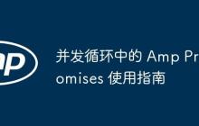 并发循环中的 Amp Promises 使用指南