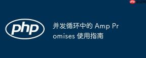 并发循环中的 Amp Promises 使用指南