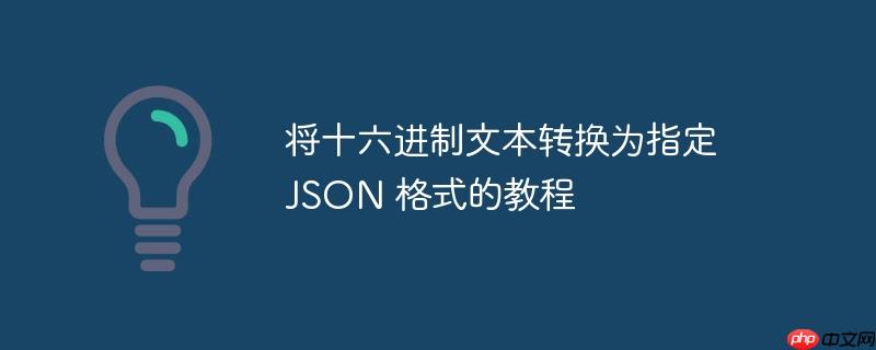 将十六进制文本转换为指定 json 格式的教程