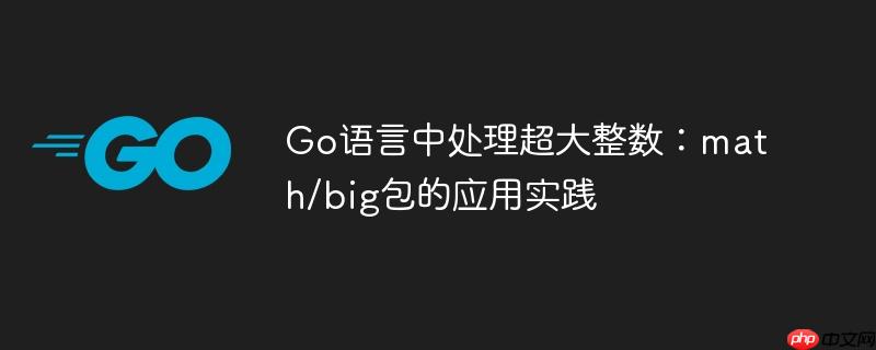 Go语言中处理超大整数：math/big包的应用实践