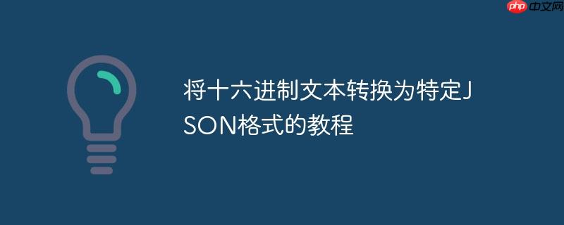 将十六进制文本转换为特定json格式的教程
