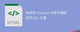 如何在 Flexbox 中居中缩放后的 Div 元素