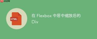 在 Flexbox 中居中缩放后的 Div