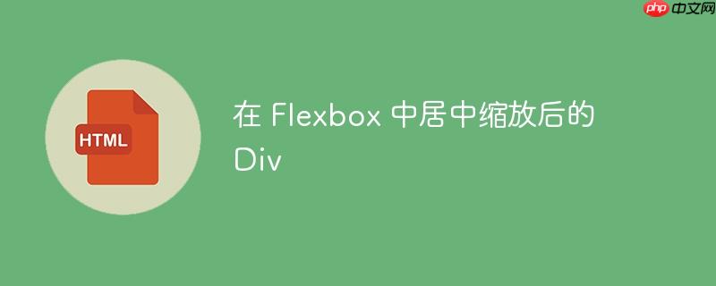在 flexbox 中居中缩放后的 div