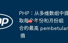 PHP：从多维数组中提取每个年份和月份组合的最高 pembetulan 值